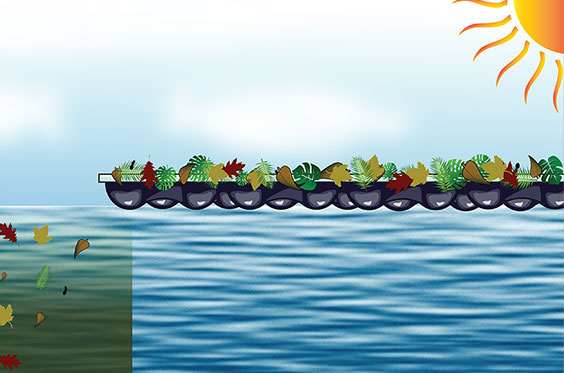 Debris & Algae Control